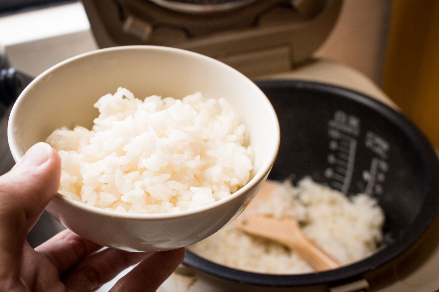 cuiseur de riz japonais